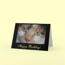 Green eyed Cat Birthday Card