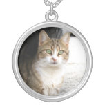 Green eyed cat necklace