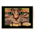 Green Eyed Kitten cards by WiscMeBrit Green Eyed Kitten cards