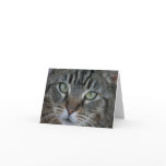 Green Eyed Lady Cards