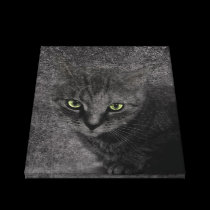 Green Eyes canvas prints