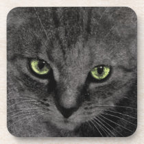 Green Eyes cork coasters