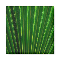 Green Fan Magnet by pulsDesign Green Fan Magnet