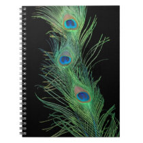 Green Feathers with Black