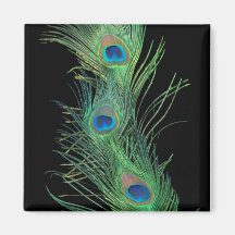 Green Feathers with Black Refrigerator Magnet