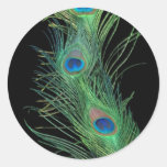 Green Feathers with Black Round Sticker