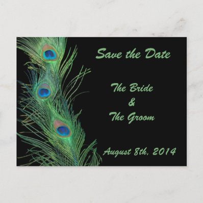 Green Feathers with Black Save the Date Post Card