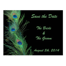 Green Feathers with Black Save the Date Post Card