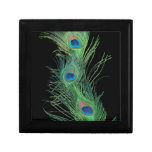 Green Feathers with Black Trinket Box