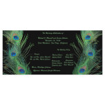 Green Feathers with Black Wedding Program Full Color Rack Card