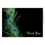 Green Feathers with Black Wedding Thank You Greeting Cards