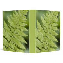 Green Fern binders
