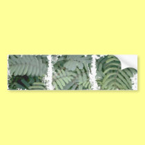 Green Fern bumper stickers