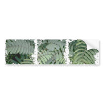 Green Fern bumper stickers by eelkat Green Fern bumper stickers