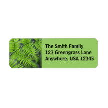 Green Fern Custom Return Address Labels