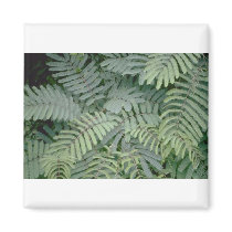 Green Fern magnets
