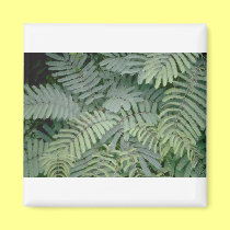 Green Fern magnets