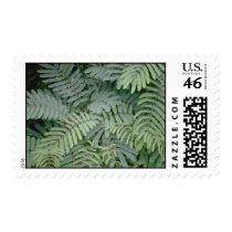 Green Fern Postage Stamps