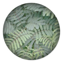 Green Fern stickers by eelkat Green Fern stickers