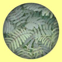 Green Fern stickers