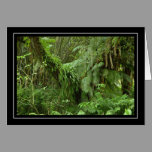 Green Ferns and Palm Trees Blank Card