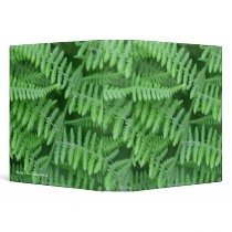 Green Ferns Photo School Business Avery Binder by SmilinEyesTreasures Green Ferns Photo School Business Avery Binder