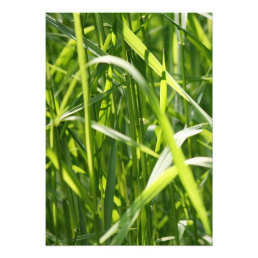Green Field Grass Outdoor Wedding Custom Invitations
