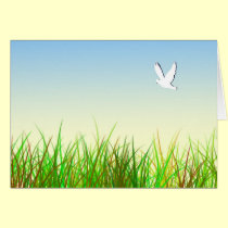 Green field with White dove cards