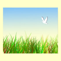 Green field with White dove posters