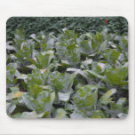 Green Fields Mousepad