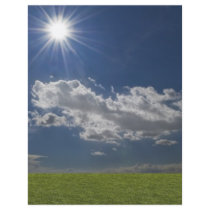 green filed, blue sky, white cloud flyer design
