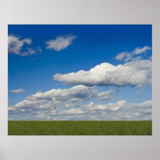 green filed, blue sky, white cloud poster