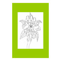Green Fingers posters