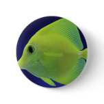 GREEN FISH buttons