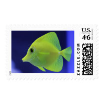 GREEN FISH postage by ZuluFlight GREEN FISH postage