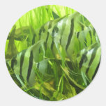 Green Fish stickers