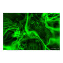 Green Flame posters