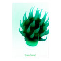 Green Flamer posters by SHAE Green Flamer posters