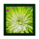 Green flower blossom giftbox gift boxes
