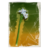 Green Flower cards by briancody Green Flower cards
