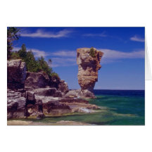 Green Flowerpot Island, Tobermory flowers Greeting Card