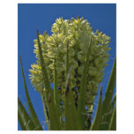 Green Flowers Flyer