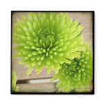 Green Flowers Magnet