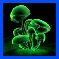Green Fluorescence (Square)