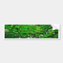 Green foliage bumper stickers