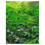Green foliage flyers