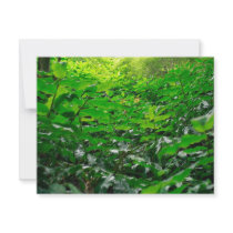 Green foliage invitations by gavila_pt Green foliage invitations