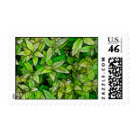 Green Foliage - Postage Stamp
