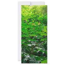 Green foliage rack cards by gavila_pt Green foliage rack cards