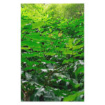 Green foliage customized stationery